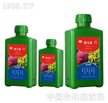 ���܌��ð���������Һ�ķ�-Ħ����-��(qi��ng)о��(gu��)�H