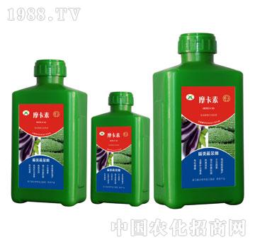 ����߲ˌ��ð���������Һ�ķ�-Ħ����-��(qi��ng)о���H