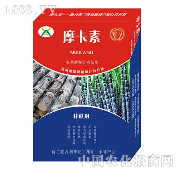 ���ጣ�ð���������Һ�ķ�-Ħ����-��(qi��ng)о���H