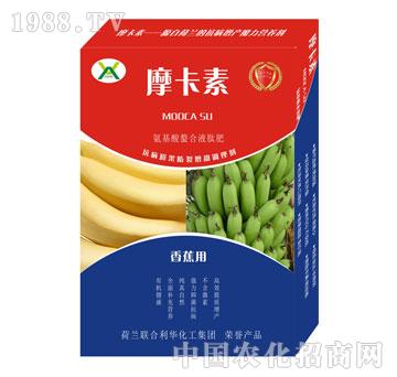 �㽶���ð���������Һ�ķ�-Ħ����-��о���H