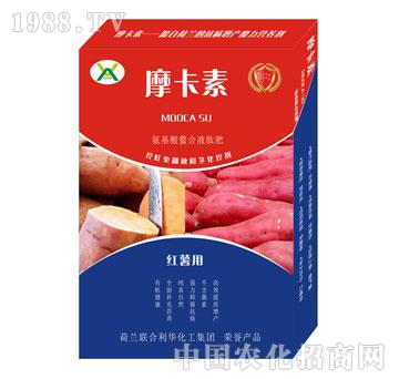 �t�팣�ð���������Һ�ķ�-Ħ����-��о���H