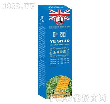 ���׌�(zhu��n)��-�~�T-��ķ��