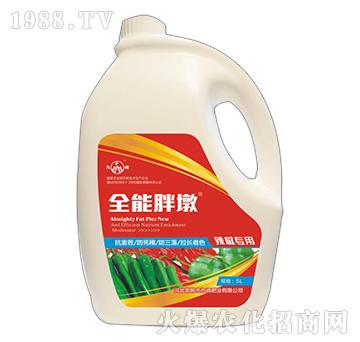 ȫ���ֶ�-������(zhu��n)��-���