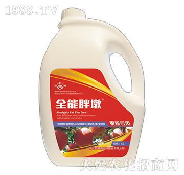 ȫ���ֶ�-���䌣��-���