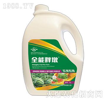 ȫ���ֶ�-�����-���