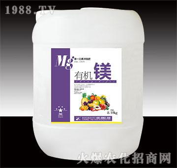 �ЙC(j��)�V-꿾�