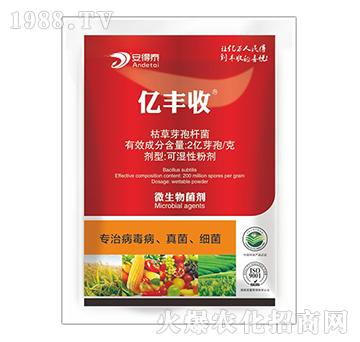 ���β������������-�|�S��-����̩