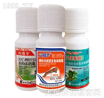 20�|����x���Ͷ���w����-���ܰ�+���ܰ�+һ�o�x-�P���