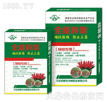 ȫ���ֶ�-��������-���