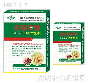 �t�������������^����-ȫ���ֶ�-���