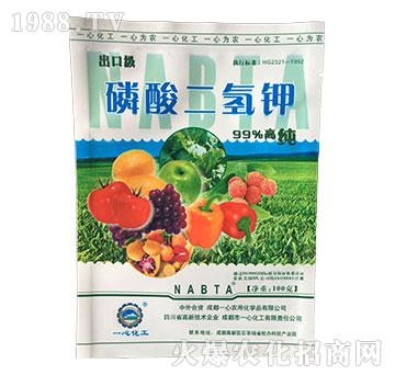 ��������-һ�Ļ���