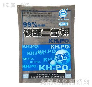 ���ڼ���������-һ�Ļ���