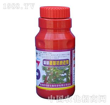 ����������˥�τ�-�W��˹