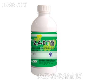 72%2��4�ζ���-�G��