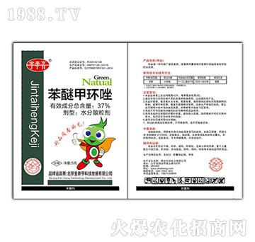 37%���Ѽ׭h(hu��n)��-��̩��