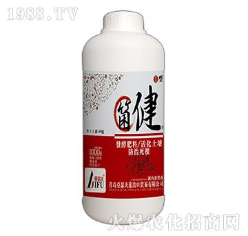 ����-��ɪ��