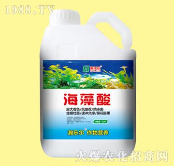 ������-嫘�(l��)��