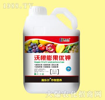 �ָ������(y��u)�-嫘�(l��)��