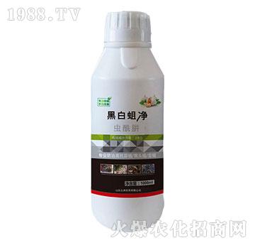 20%�x(ch��ng)����-�ڰ�����-�읙(r��n)����