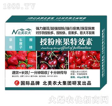 ��ݮ��܇���ӡ������ڷ�������Ч��-�����r(n��ng)��