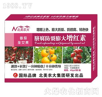 ����ʥŮ��Ě������������t��-�����r(n��ng)��