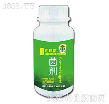 �������-�ذ�Ȫ