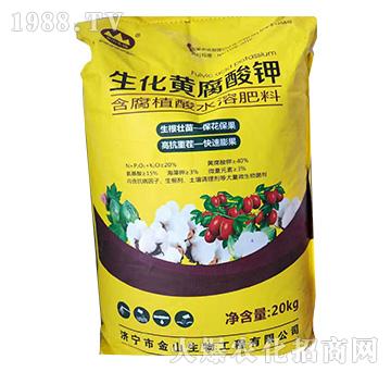 �S���S�����-��ɽ����