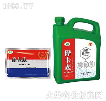 �V�V���־����AҺ���ؼӴ���-Ħ����-��(qi��ng)о���H