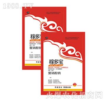 �ڶ������������c��-�r�_����