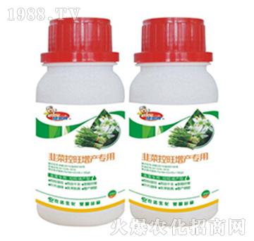 �²˿������a(ch��n)����-������-�r(n��ng)�_(d��)����