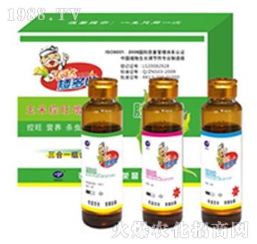 ����3��1-�r(n��ng)�_����