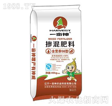 ȫ�I�B(y��ng)56�͓������22-8-10-һ����