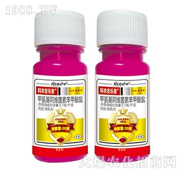 �װ������S���ر������}-���r������-���¿��r