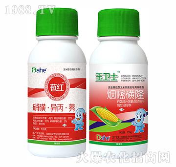 ���t+���l(w��i)ʿ-�hҊ�r�I(y��)