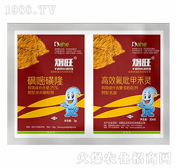 ����-�hҊ�r(n��ng)�I(y��)