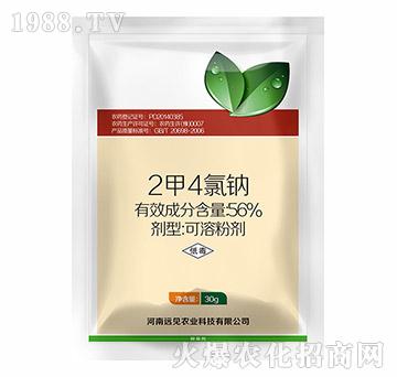 56%2��4���c-�h(yu��n)Ҋ�r(n��ng)�I(y��)