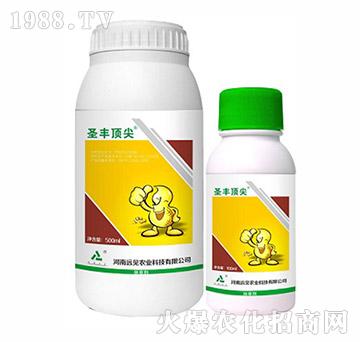 10.8%��Ч�����׺��`-ʥ�S피�-�h(yu��n)Ҋ�r(n��ng)�I(y��)