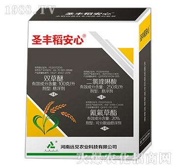 ʥ�S���������b-�hҊ�r(n��ng)�I(y��)