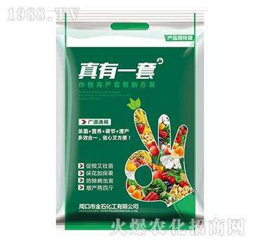 ����һ��-��ʯ