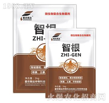 ΢�����(f��)���������-�Ǹ�-��(��i)�r(n��ng)˹�_(d��)