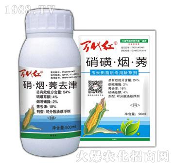 24%���ǡ�����ݬ-�f(w��n)