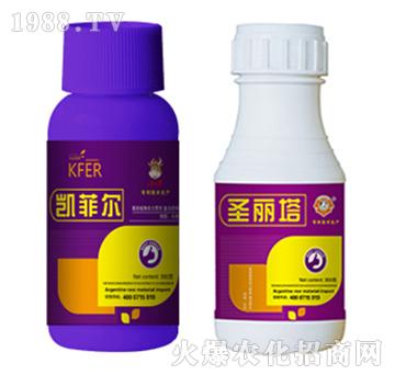 �{(di��o)��(ji��)��-�P�Ơ�+ʥ����-�����r(n��ng)�I(y��)