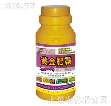 500g�S��ʰ�-�����r(n��ng)��