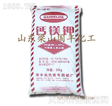 �}�V�-��ɽ��(gu��)�S