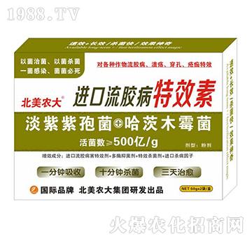 �M�����z����Ч��-�����r(n��ng)��