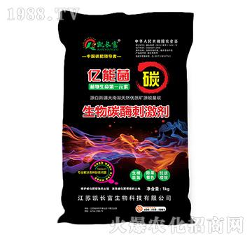 ����̼ø�̼���-�|�ܾ�-�P�L��