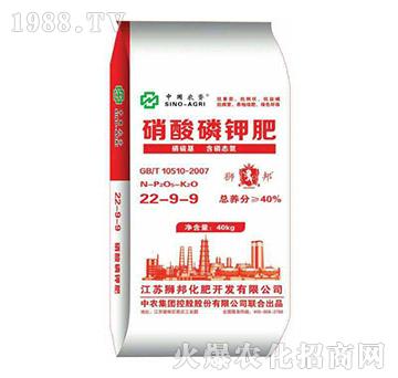 ������⛷�22-9-9-�{��