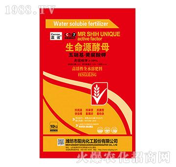 10kg���������S����