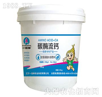 ̼ø���}-һ����