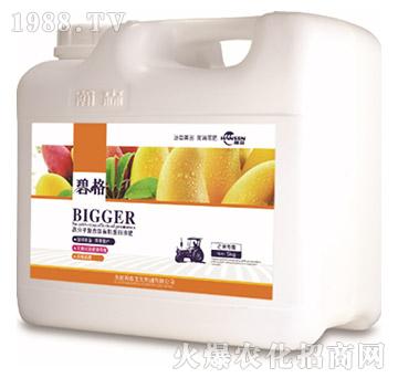 â����(zhu��n)�ø߷��ӏ�(f��)�����ЙC(j��)����Һ�ʣ�5kg��-�̸�-�ɭ�r(n��ng)�I(y��)